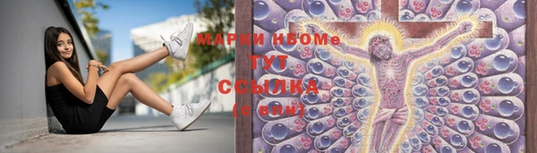 индика Абинск