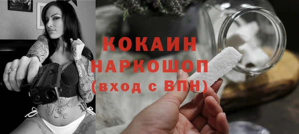 индика Абинск