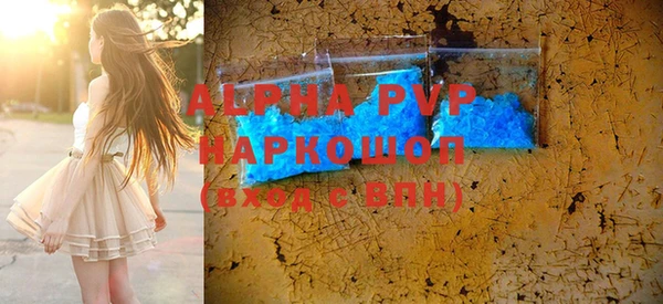 индика Абинск