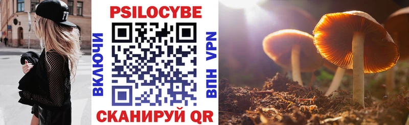 Псилоцибиновые грибы Magic Shrooms Шлиссельбург